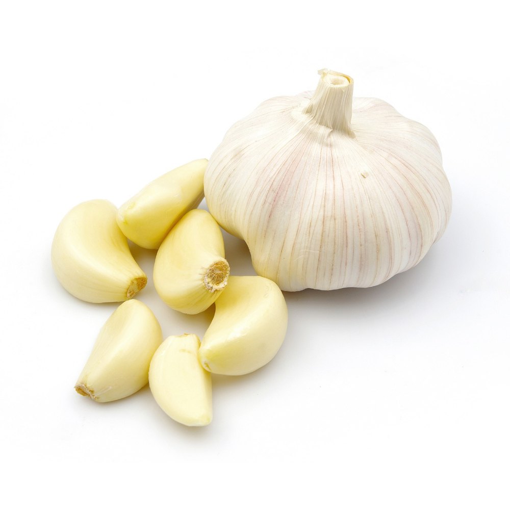 garlic